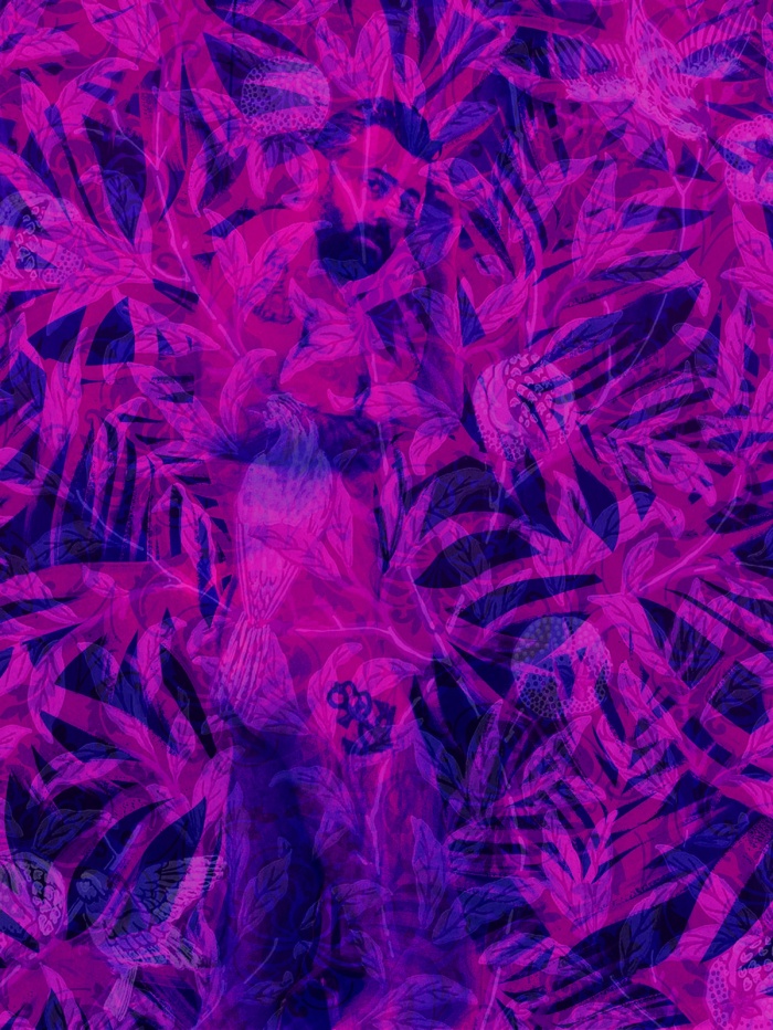 Kyle Anderson 002, image 1