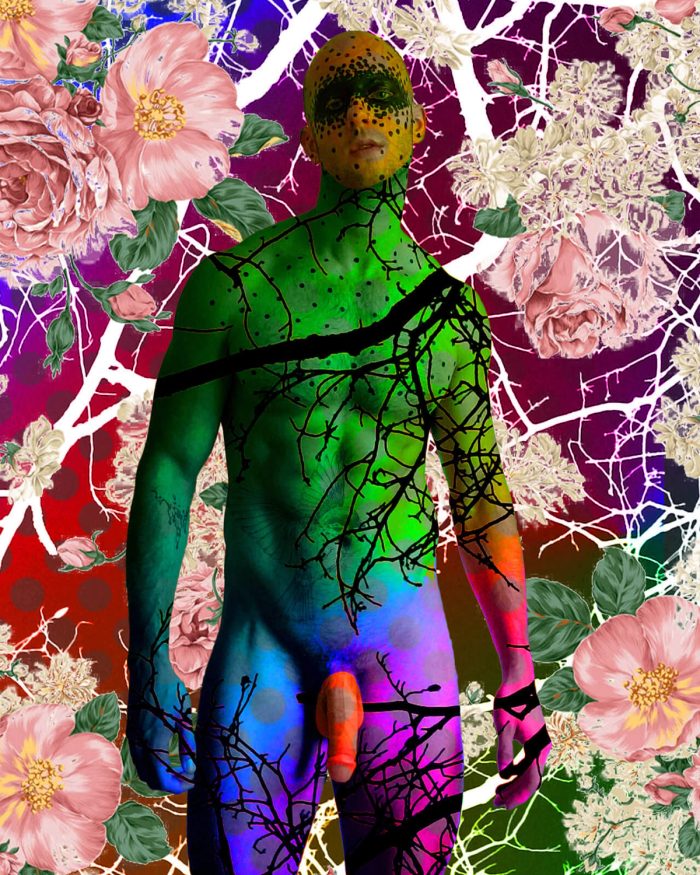 Emil Jameson 001, image 3