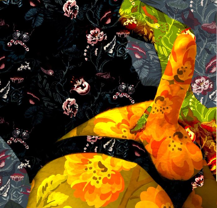 Andi 001, image 2