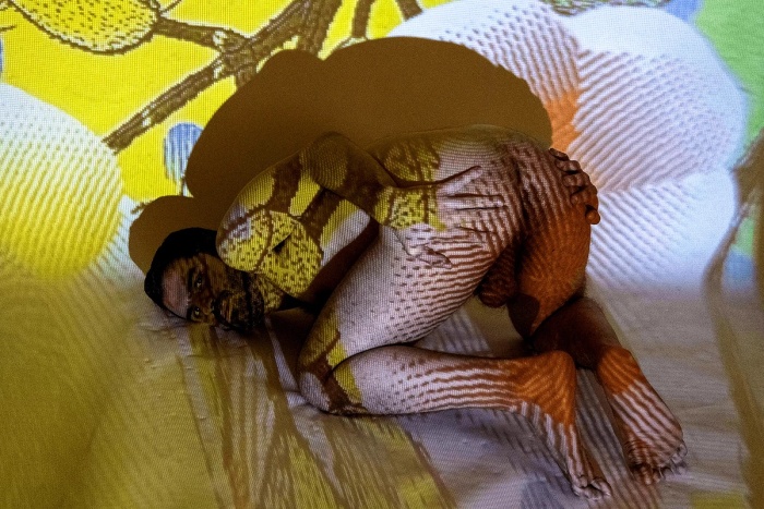 Projected Interactions, image 8