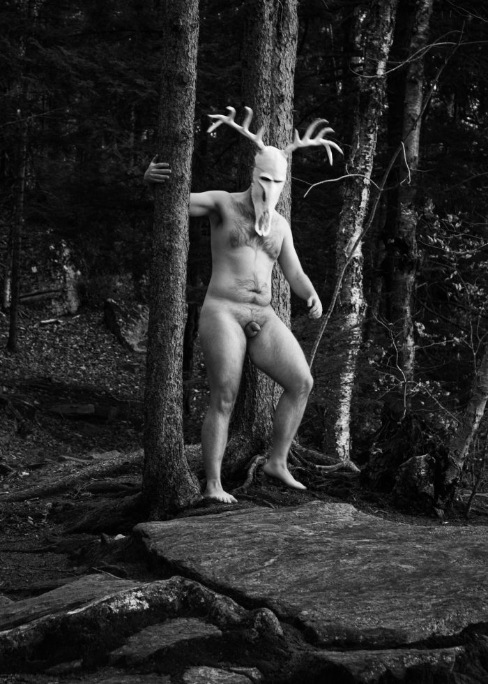 New England Cryptid, image 3