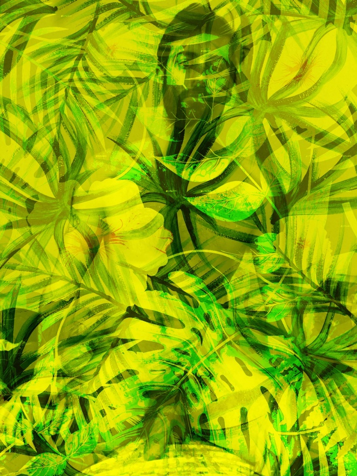 Kyle Anderson 002, image 5