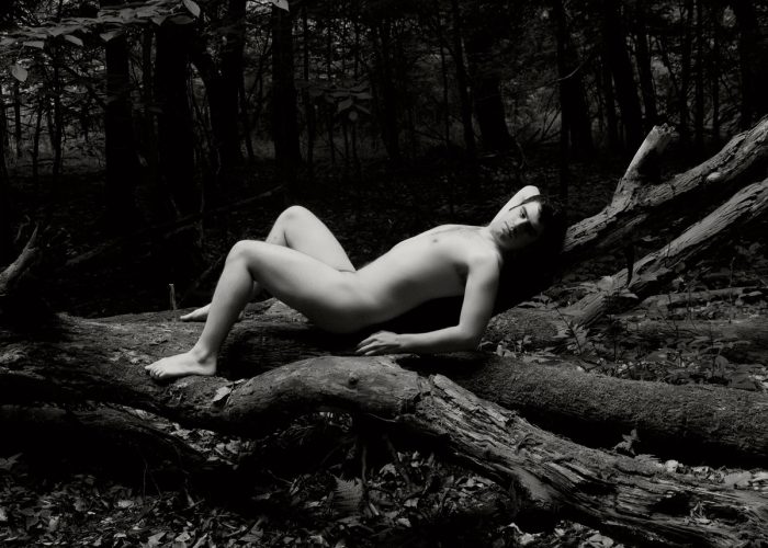 Dale Pierce 001, image 5