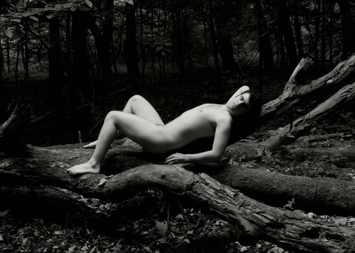 Dale Pierce 001, image 5