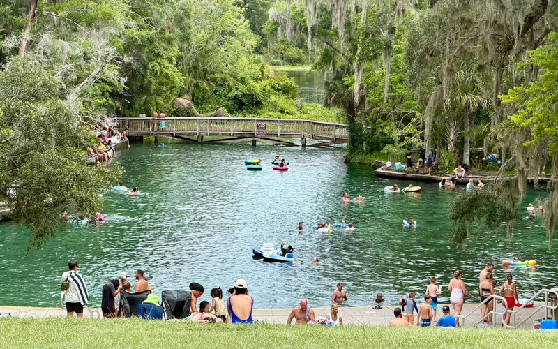 A Day at Wekiwa Springs State Park: Swimming, Trails, and Spring-Fed Waters Near Orlando