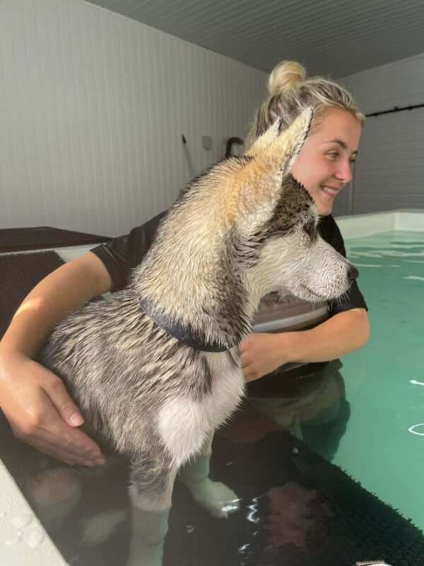 About Us Jessica Parker Veterinary Physiotherapy