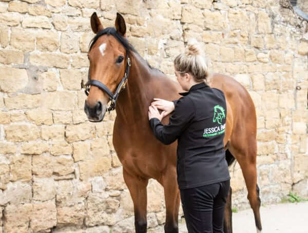 Equine Physiotherapy - Jessica Parker Veterinary Physiotherapy