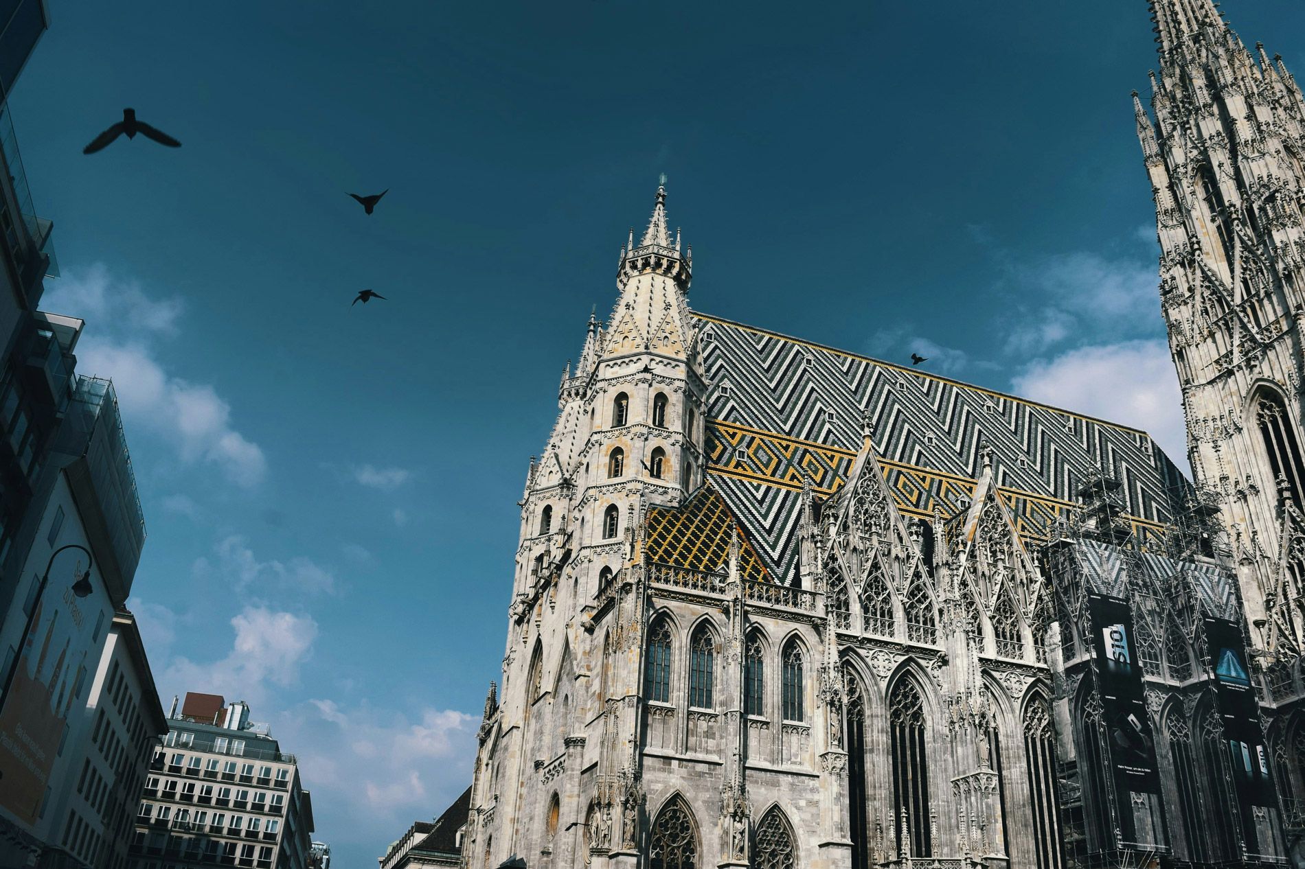 Inhalte, die in Wien und darüber hinaus wirken