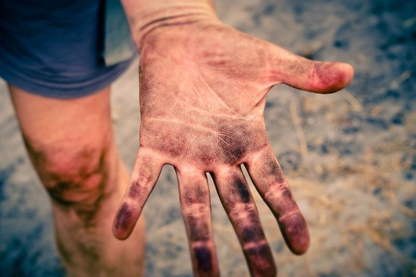 Top Volunteer-Led and Run Nonprofit Charities in Canada