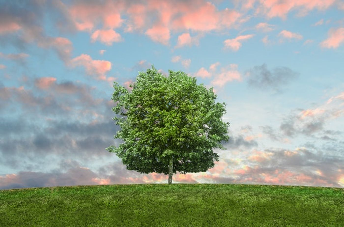 Best Non-profits for climate change