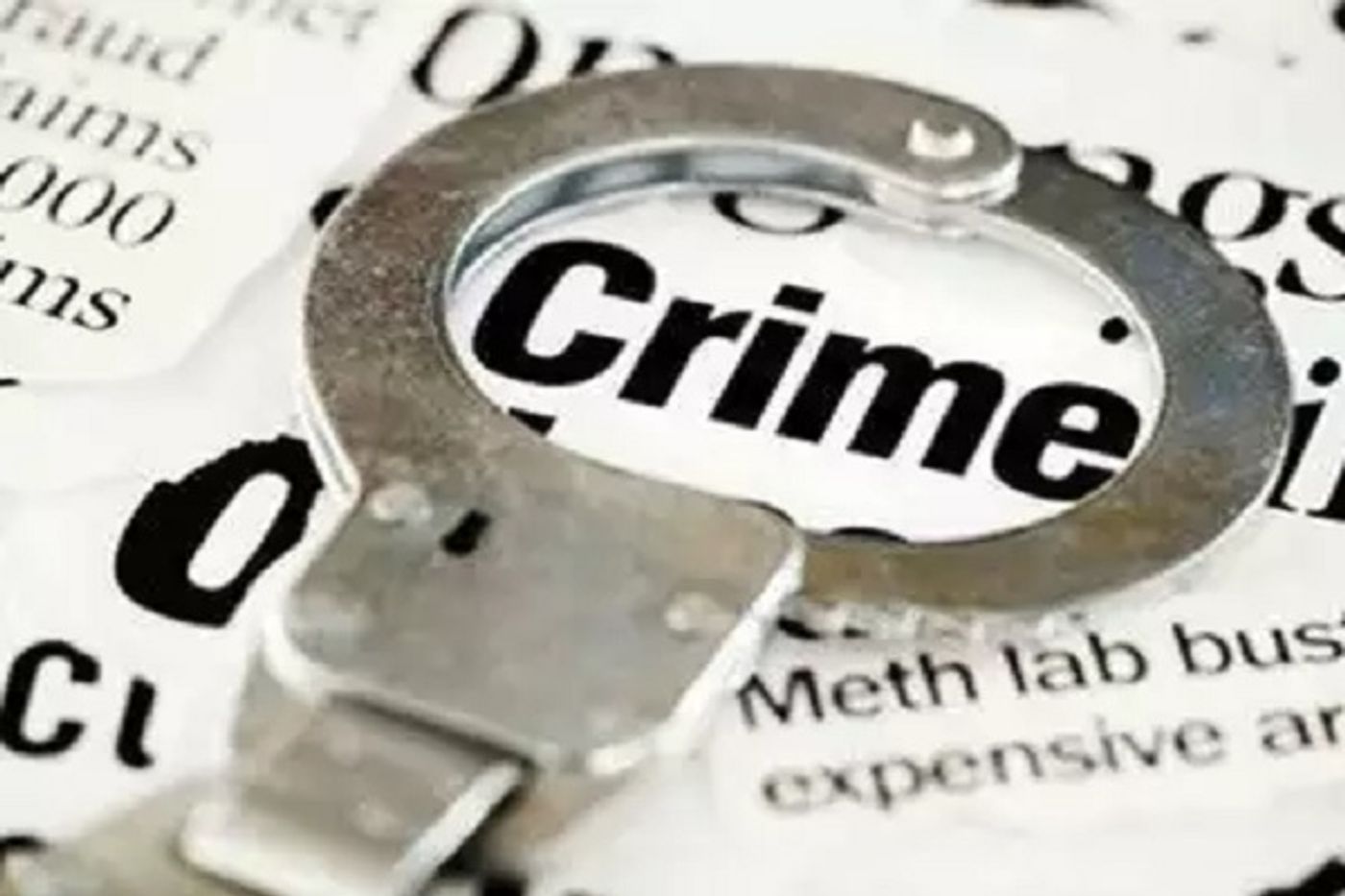 What are charity frauds