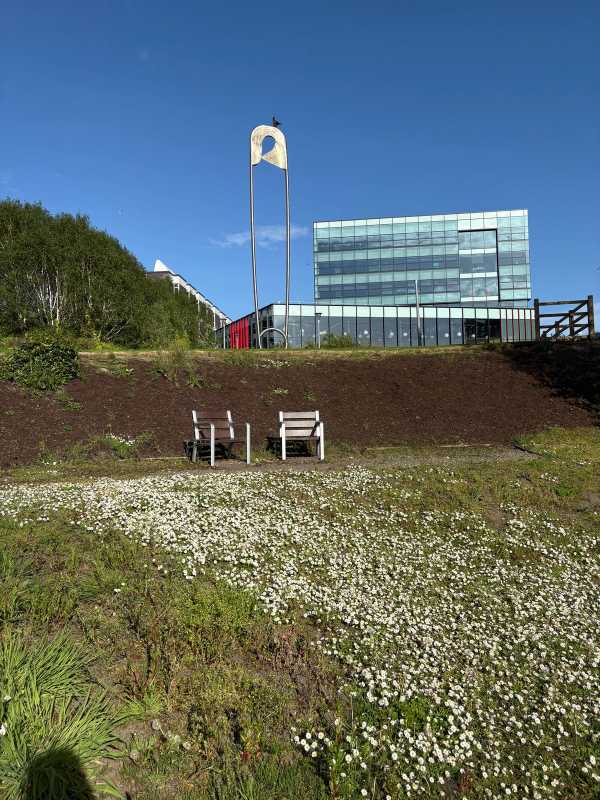 Glasgow - 2025 - Elia's Diary