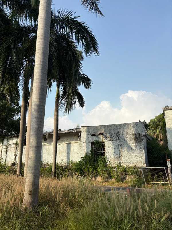 Shenzhen - 2025 - Elia's Diary