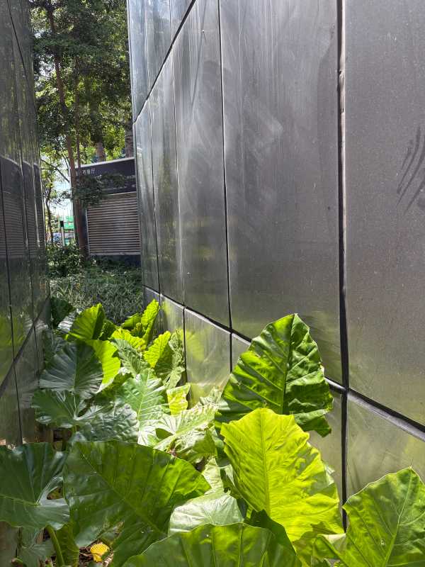 Shenzhen - 2025 - Elia's Diary