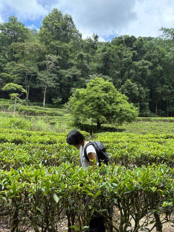 Hezhou - 2025 - Elia's Diary