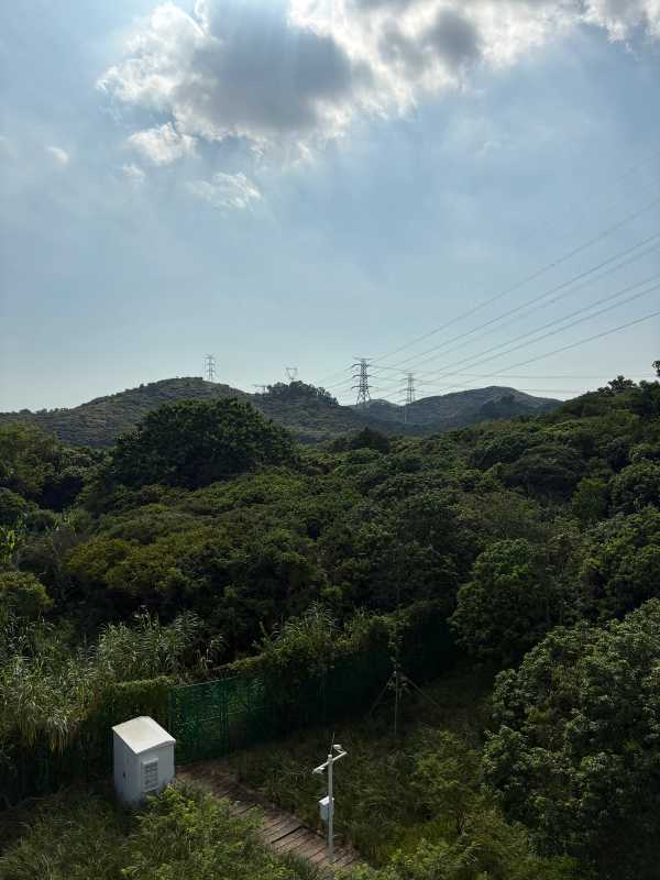 Shenzhen - 2025 - Elia's Diary