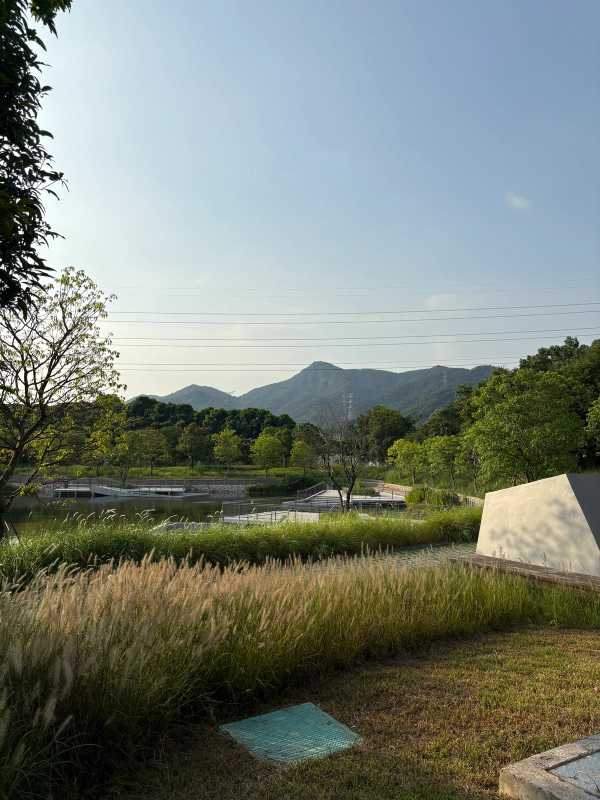 Shenzhen - 2025 - Elia's Diary