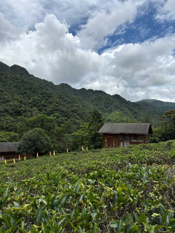 Hezhou - 2025 - Elia's Diary