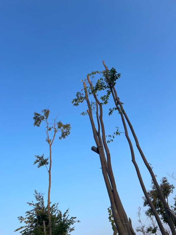 Changsha - 2024 - Elia's Diary