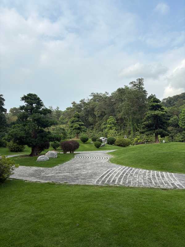 Shenzhen - 2025 - Elia's Diary