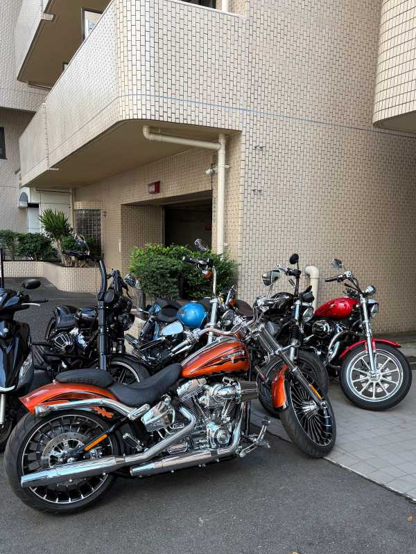 Yokohama - 2025 - Elia's Diary