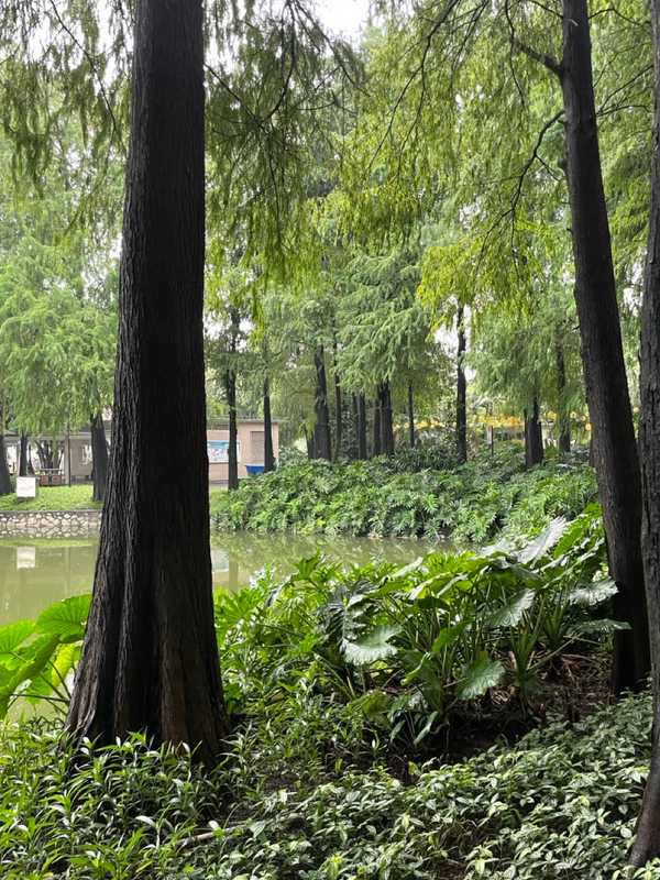 Guangzhou - 2024 - Elia's Diary