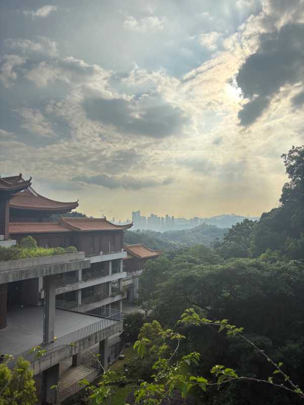 Shenzhen - 2025 - Elia's Diary