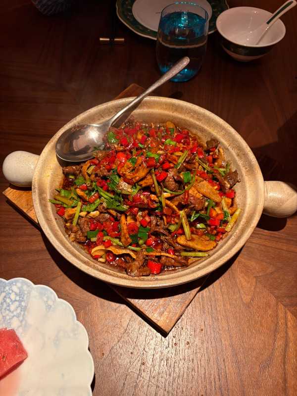 Shenzhen - 2025 - Elia's Diary