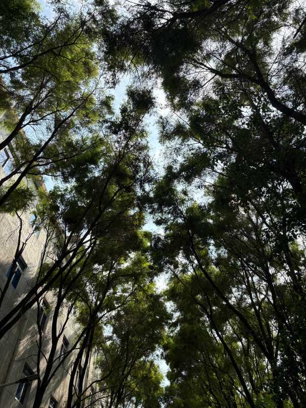 Shenzhen - 2025 - Elia's Diary