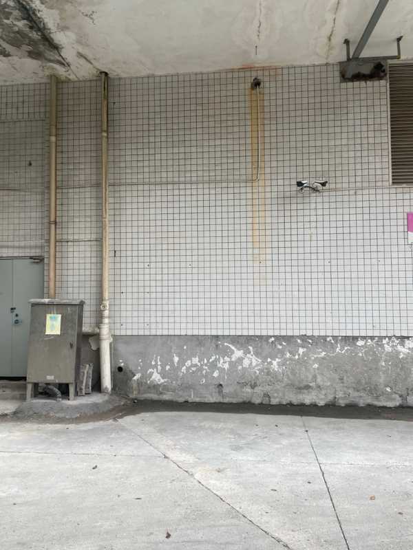 Changsha - 2024 - Elia's Diary