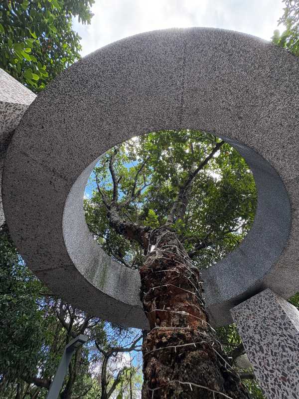 Shenzhen - 2025 - Elia's Diary