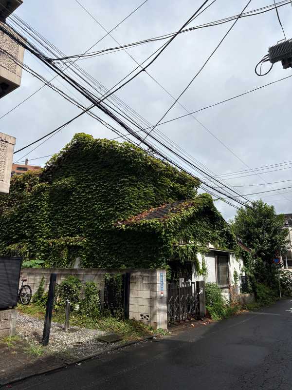 Tokyo - 2025 - Elia's Diary