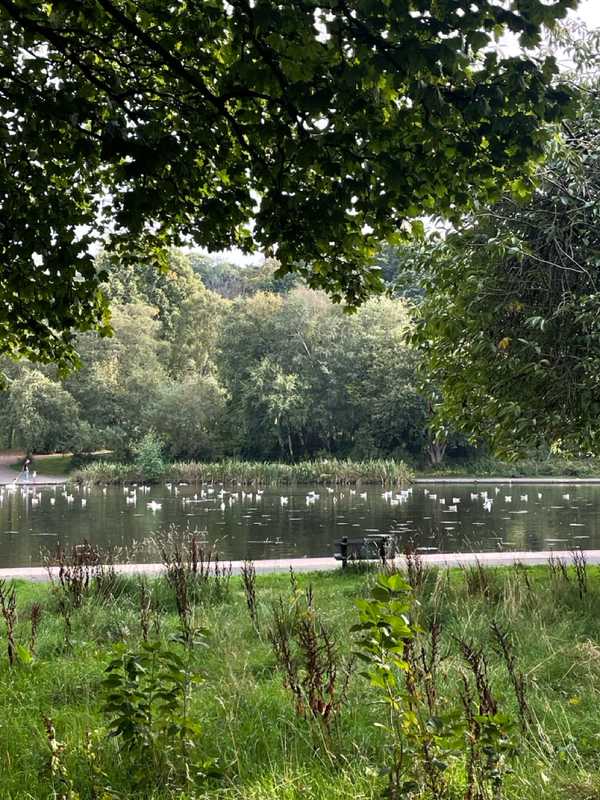 Glasgow - 2024 - Elia's Diary