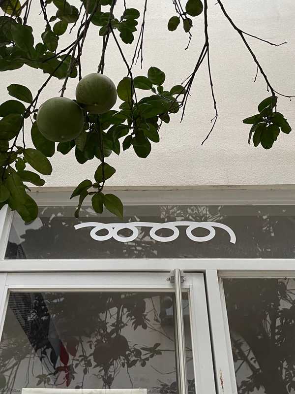 Changsha - 2024 - Elia's Diary