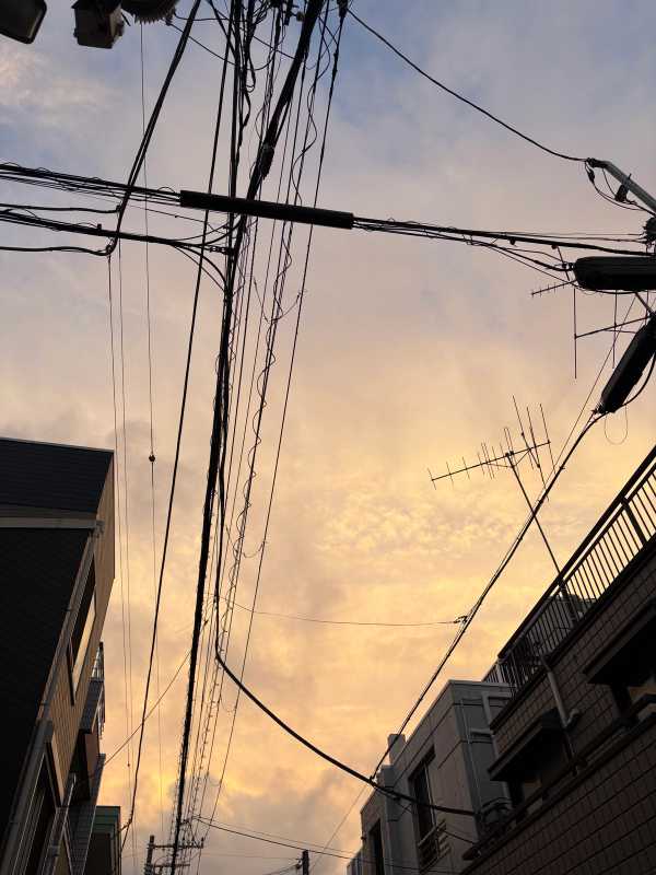 Tokyo - 2025 - Elia's Diary