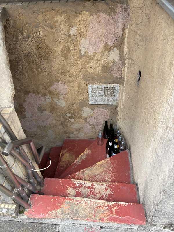 Tokyo - 2025 - Elia's Diary