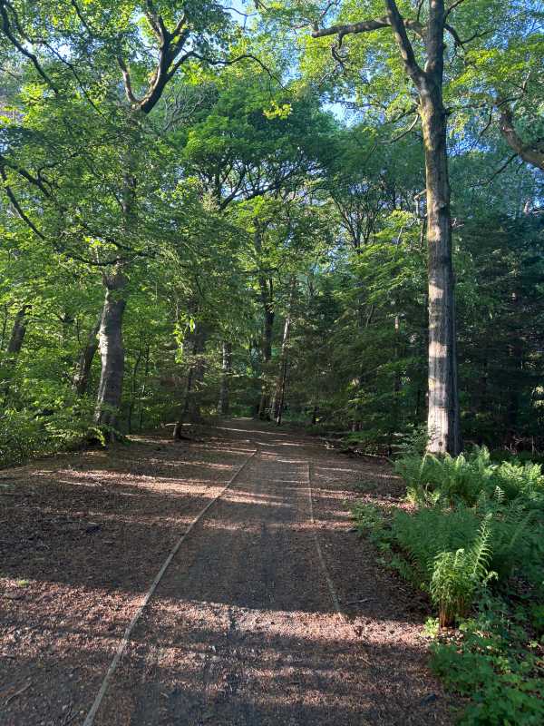 Glasgow - 2025 - Elia's Diary