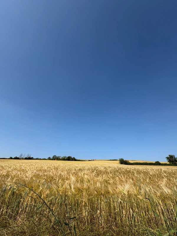 Italy - 2025 - Elia's Diary