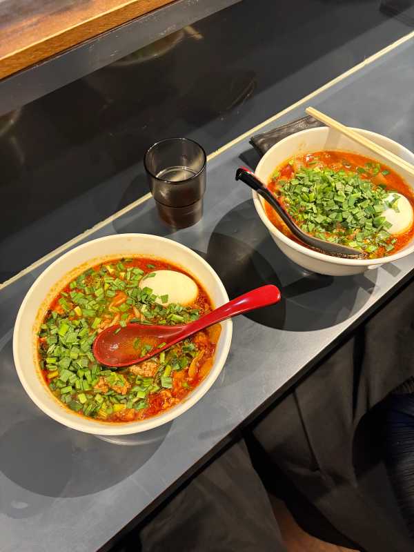 Tokyo - 2025 - Elia's Diary