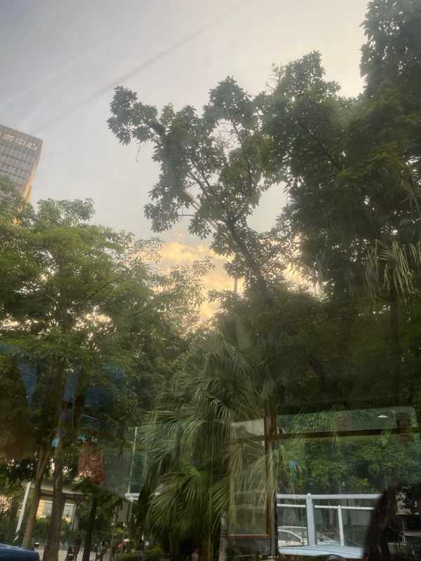 Shenzhen - 2024 - Elia's Diary