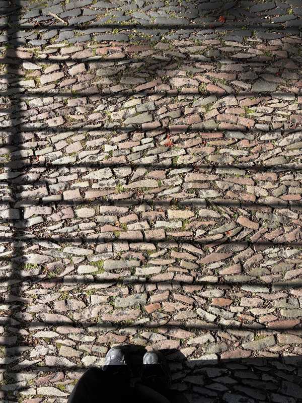 Glasgow - 2025 - Elia's Diary