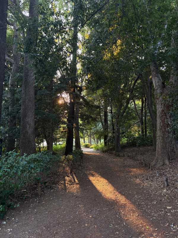 Tokyo - 2025 - Elia's Diary