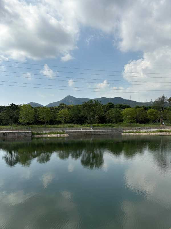 Shenzhen - 2025 - Elia's Diary