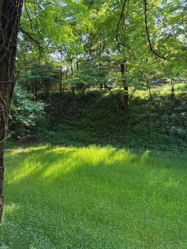 Italy - 2025 - Elia's Diary