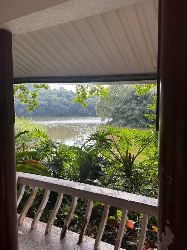 Shenzhen - 2025 - Elia's Diary