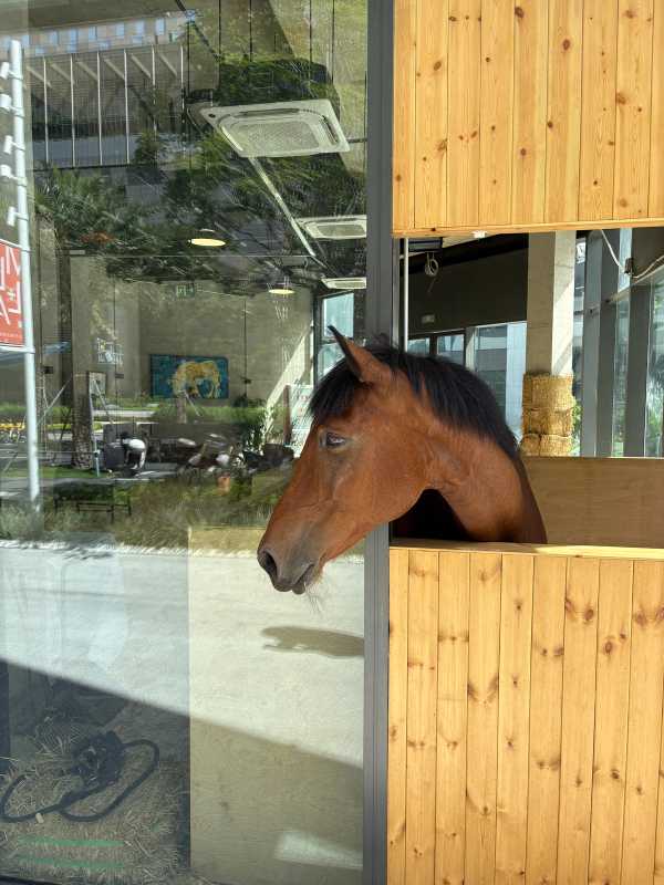 Shenzhen - 2025 - Elia's Diary