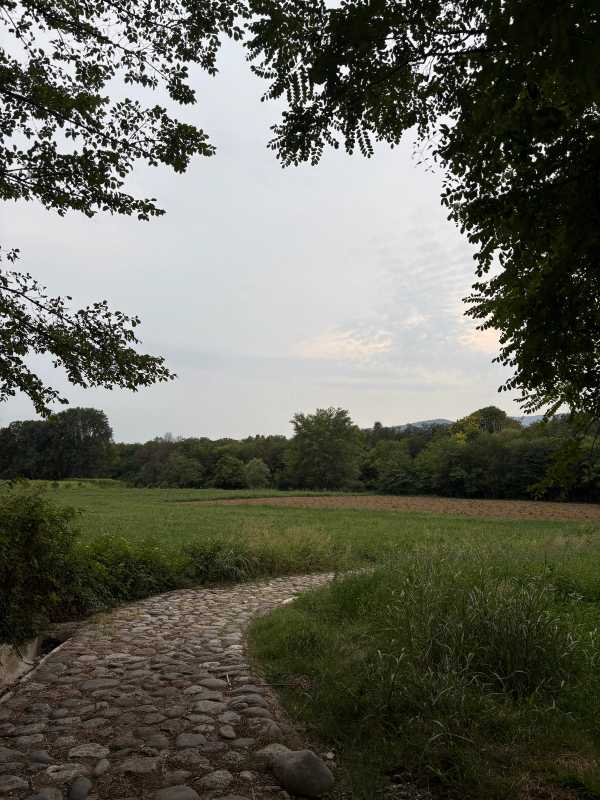 Italy - 2025 - Elia's Diary