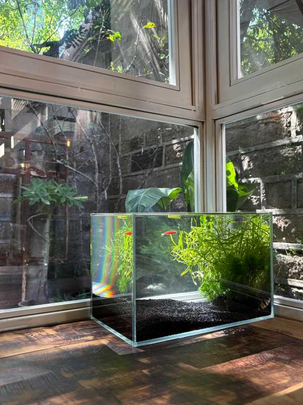 Chongqing - 2025 - Elia's Diary