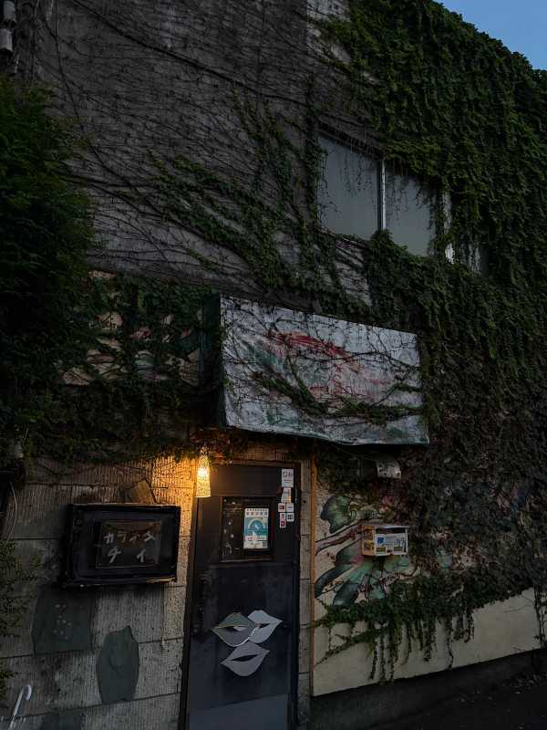 Tokyo - 2025 - Elia's Diary