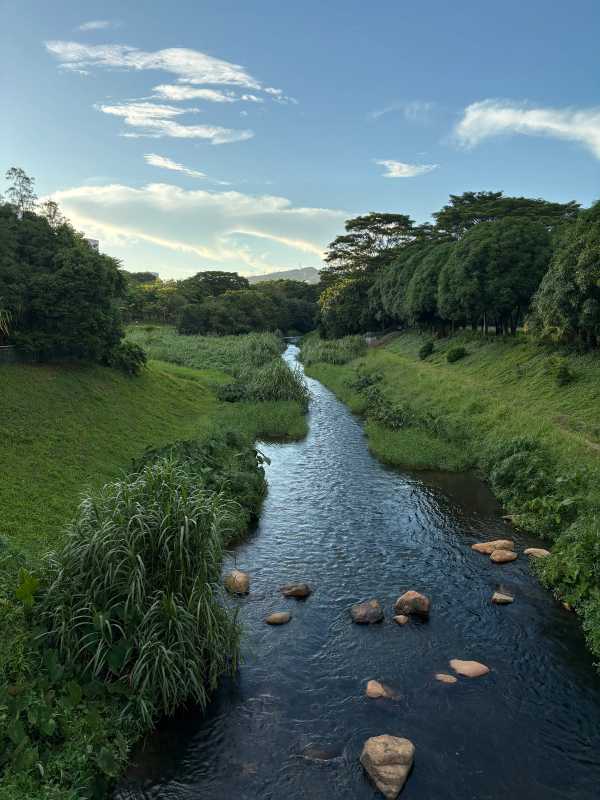 Shenzhen - 2025 - Elia's Diary